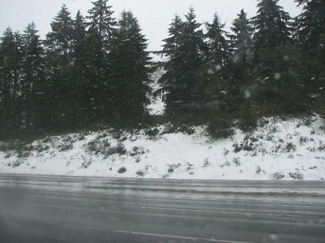 IMG_5663 Snow on the side of I-5 on the way to the Tulip Festival.
